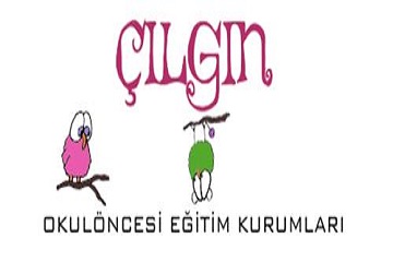 çılgın